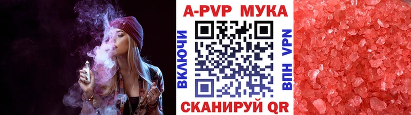 Альфа ПВП СК  Боровичи 