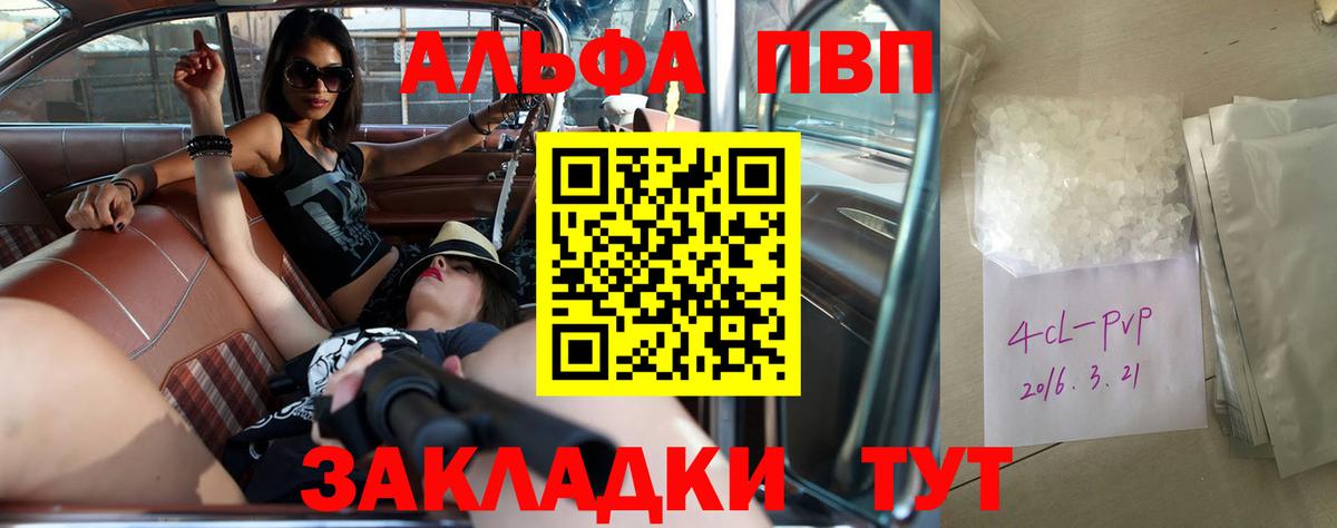Alfa_PVP СК КРИС Боровичи